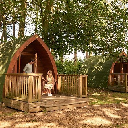 Pinewood - At Port Lympne Reserve Hythe  Zewnętrze zdjęcie