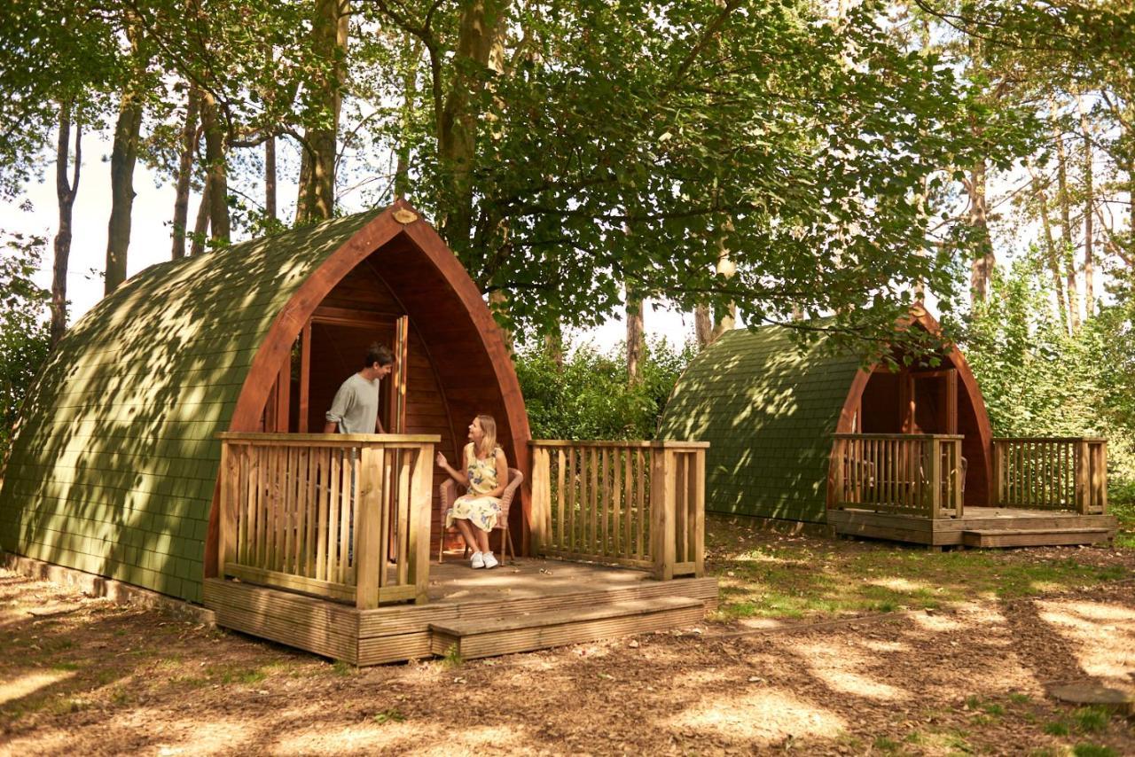 Pinewood - At Port Lympne Reserve Hythe  Zewnętrze zdjęcie