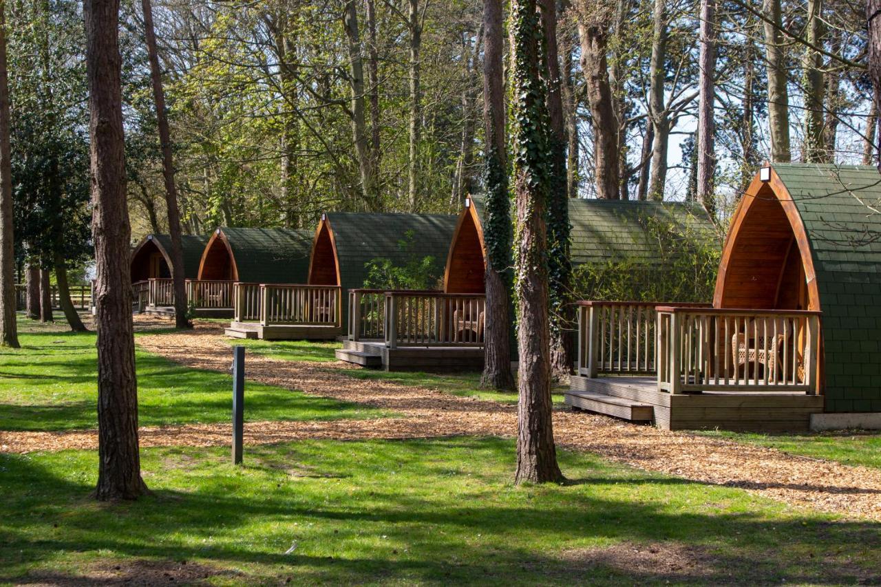 Pinewood - At Port Lympne Reserve Hythe  Zewnętrze zdjęcie