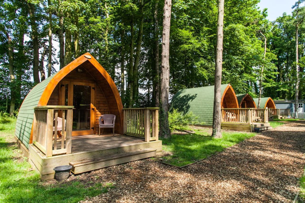 Pinewood - At Port Lympne Reserve Hythe  Zewnętrze zdjęcie
